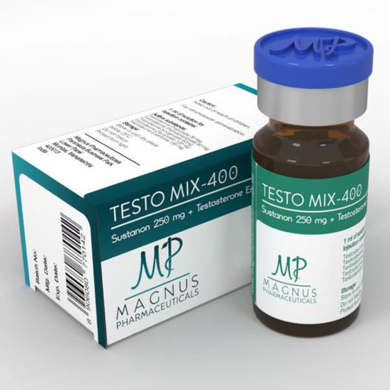 Picture of Testo Mix 400
